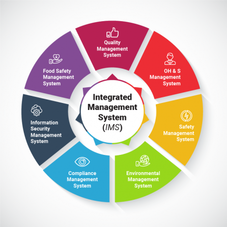 Integrated Management System Surveillance, 3 standards — Medium size company (46–125 employees)